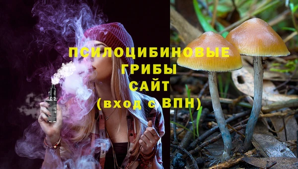 гидра Заволжск