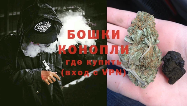 крисы Зеленодольск