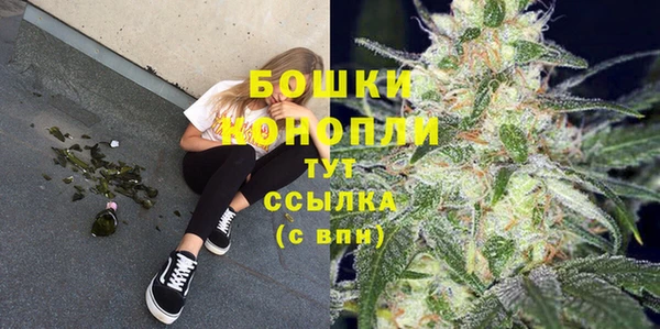крисы Зеленодольск